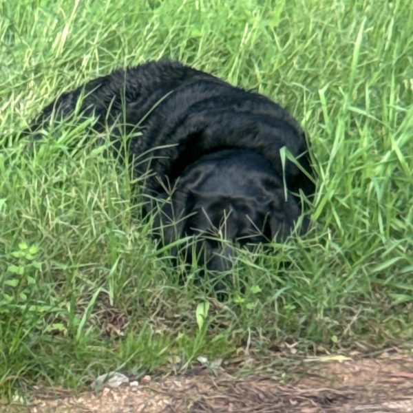 Scylla’s viewpoint: Every day is a beach day