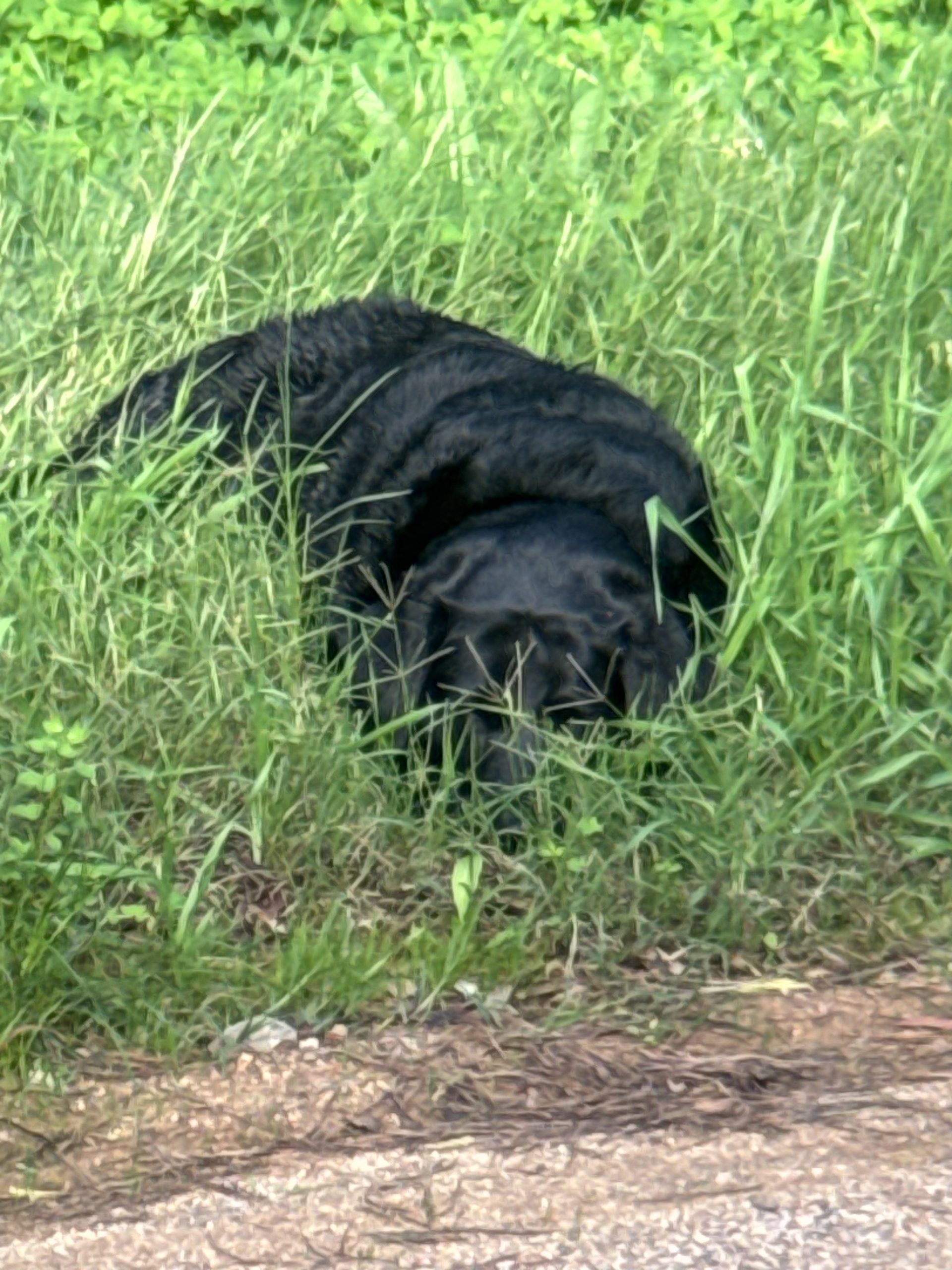 Scylla’s viewpoint: Every day is a beach&hellip;