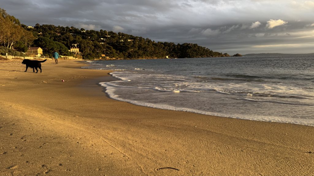 Seascape - sunset golden hour