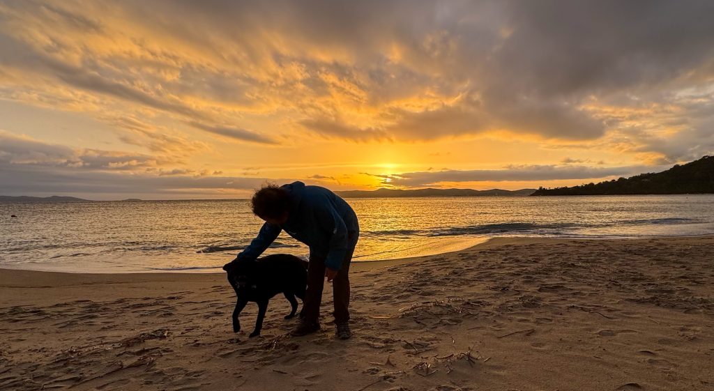 Silhouette of Pip and Scylla at sunset on the beach