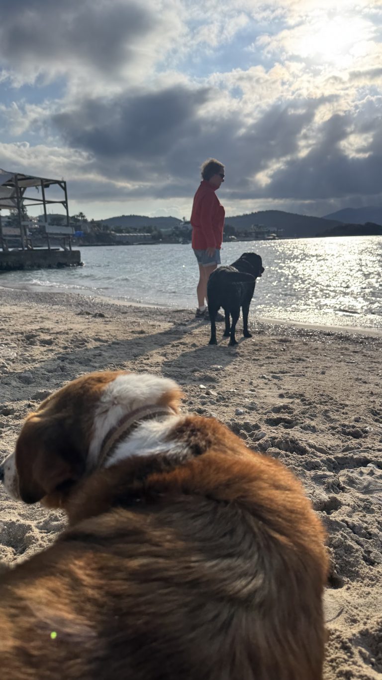 Two dogs and a woman on the waterfront